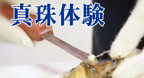 真珠体験パール美樹