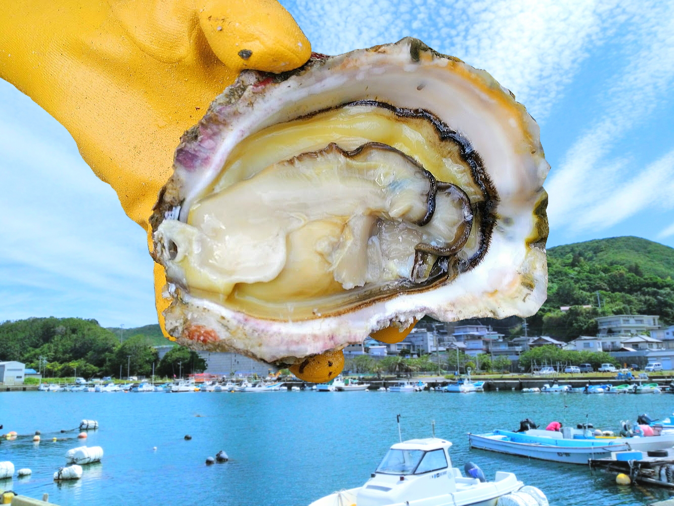 岩牡蠣が食べられる伊勢志摩の宿